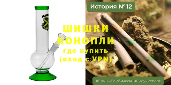 ПСИЛОЦИБИНОВЫЕ ГРИБЫ Абаза