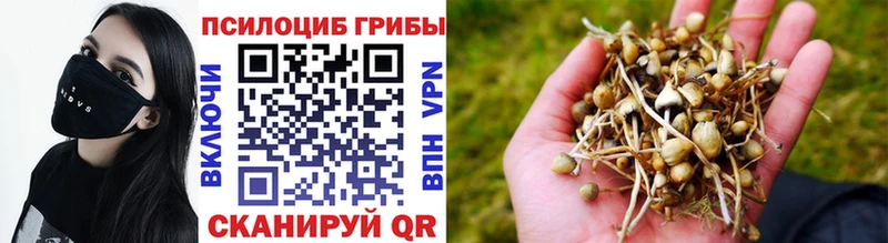 ссылка на мегу ТОР  Краснокамск  Псилоцибиновые грибы Magic Shrooms 
